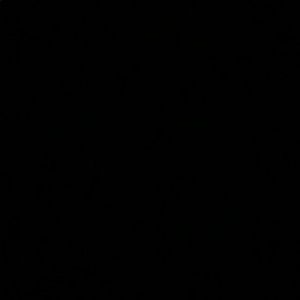 Meet your Posher, Nayeli